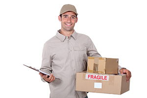business delivery services in Danderhall