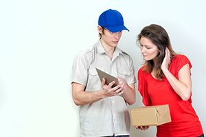 CA22 professional courier Egremont